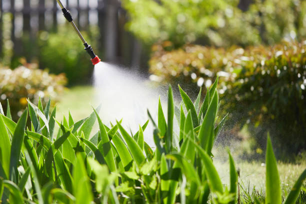 24/7 Emergency Mosquito Control experts in South El Monte, CA