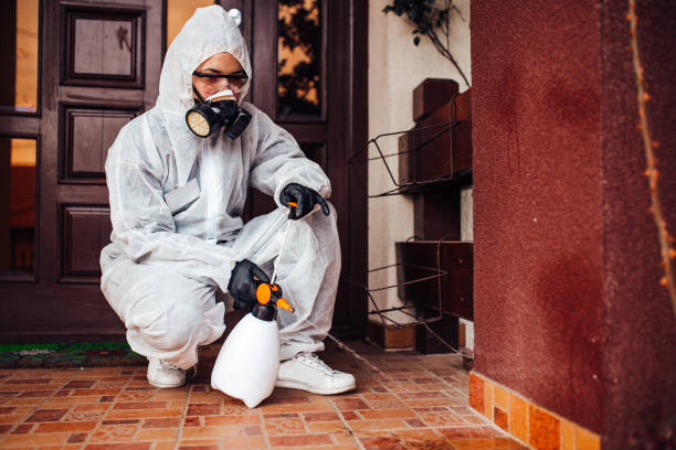 Reliable Mosquito Control contractor in South El Monte, CA by Show Me Pest Control