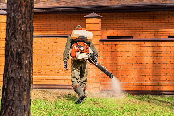 Top rated local Mosquito Control specialists in South El Monte, CA